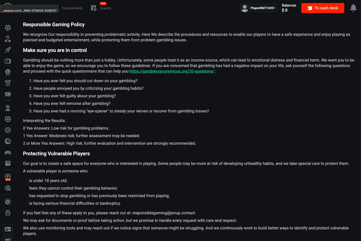 Pin Up responsible gaming policy screen with control questions and player protection guidance